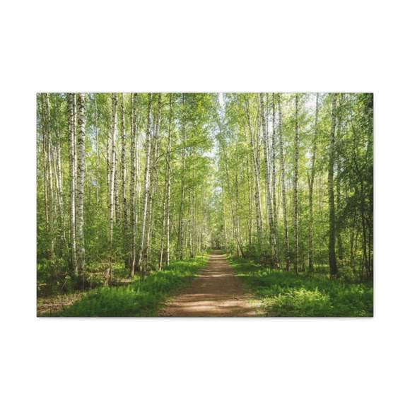 Forest Path Green Tree Nature Wilderness Photography Canvas Wall Art for Home De